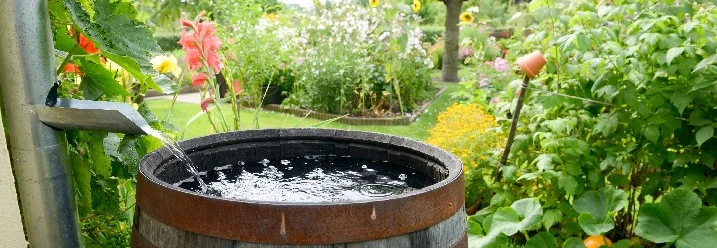 Regenwassertonne in einem Garten